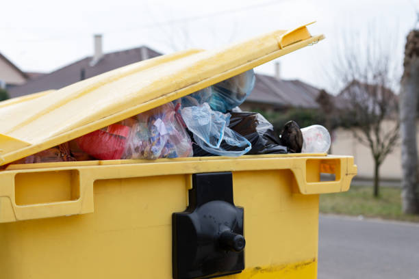 Best Electronics and E-Waste Disposal  in Shenandoah Farms, VA